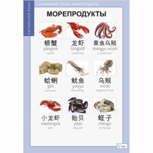 учебные Китайский язык Рыба Блюда Напитки